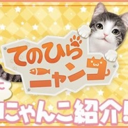 エイジ、6月配信予定のにゃんこ育成シミュレーションアプリ『てのひらニャンコ』で最初に選べるにゃんこの情報を公開