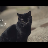 WFS、『アナザーエデン 時空を超える猫』がドラマCMの第4話~第7話を特設サイトで公開 時空を超えた兄と妹の物語の結末は如何に……