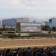 ドリコム、『ダービースタリオン マスターズ』で「東京シティ競馬」オフラインイベントを開催…4月10日には第19回公式BCの決勝戦も!