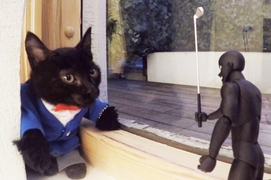 コロプラ クイズrpg 魔法使いと黒猫のウィズ で 名探偵コナン コラボを記念動画を公開 蘭ねーちゃんの髪型を再現する生放送も本日実施 Social Game Info