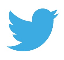 Twitter Japan、2020年12月期の最終利益は7.3％減の3億7300万円