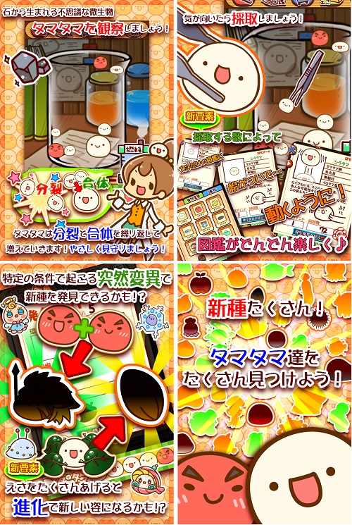 キューマックス Androidゲーム 新種発見タマタマ研究所 の提供開始 不思議微生物 タマタマ を観察して楽しむ Social Game Info
