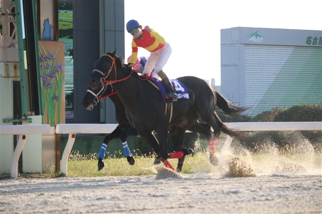 ドワンゴ ニコニコ競馬チャンネル で名古屋競馬場と佐賀競馬の全レースを生中継 Social Game Info