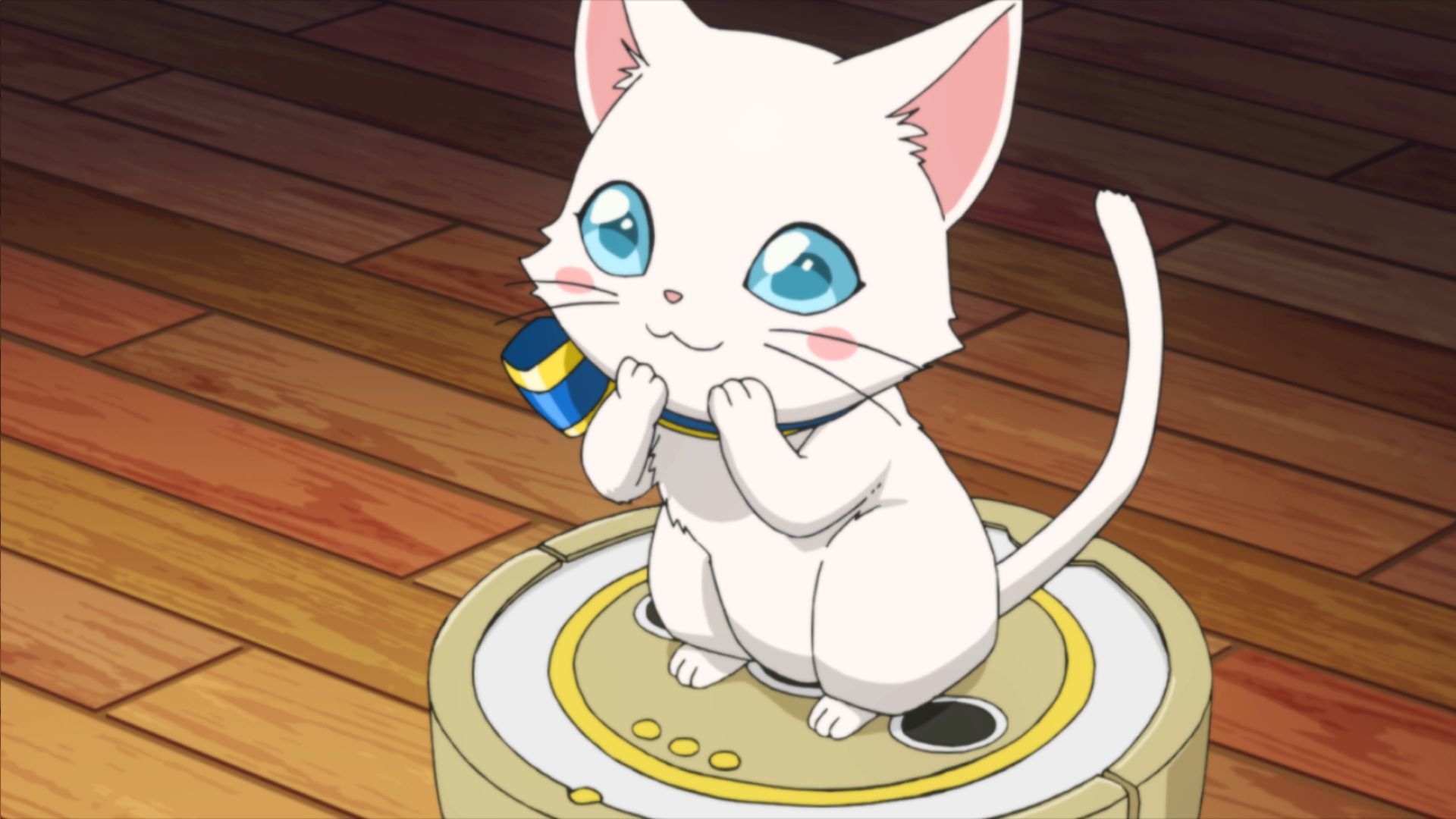 コロプラ 白猫プロジェクト キャラクター キャトラ がtvアニメ