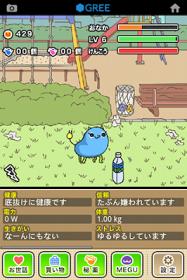 Feynman 50万ダウンロードのiphoneソーシャルゲーム ゆるふわ育成ゲーム Megu がandroid版 Gree に登場 Social Game Info